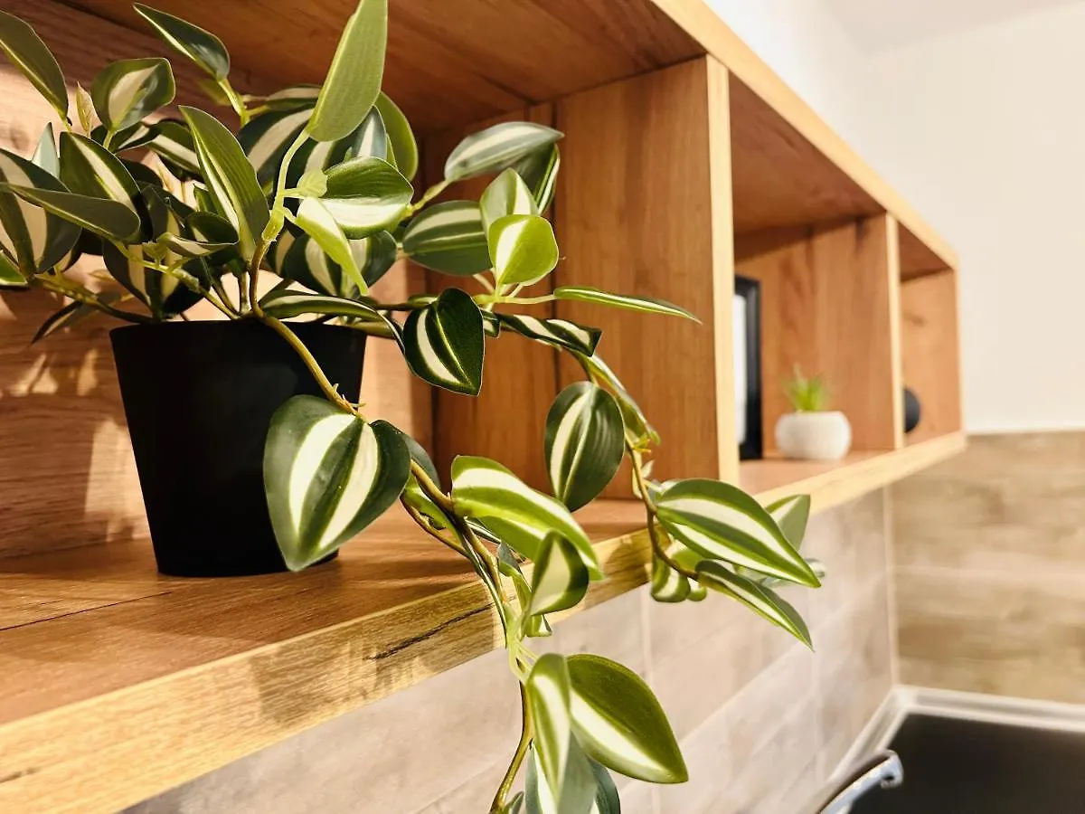 Ithaca Σπίτι Με Αυτόνομη Είσοδο Apartment Thessaloniki