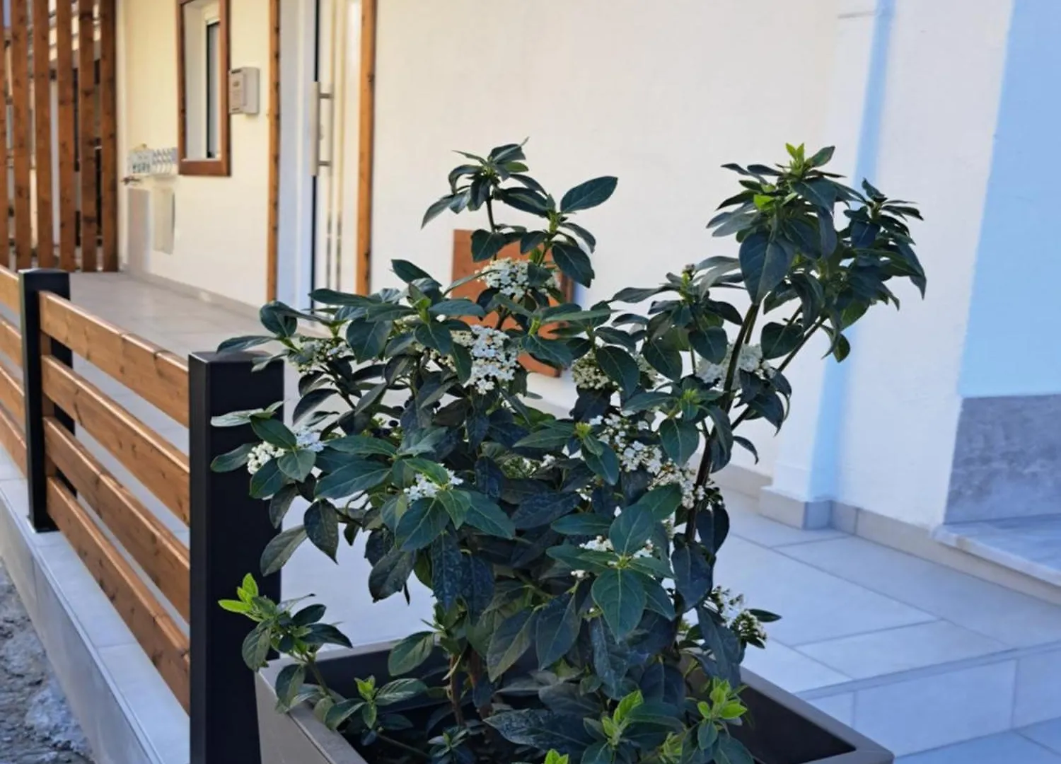 Ithaca Σπίτι Με Αυτόνομη Είσοδο Apartment Thessaloniki